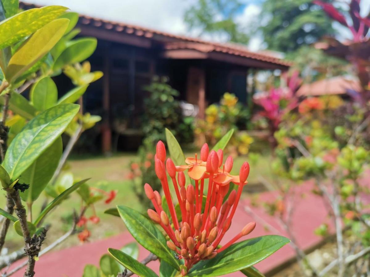 Hotel Canto De Ballenas Uvita Εξωτερικό φωτογραφία
